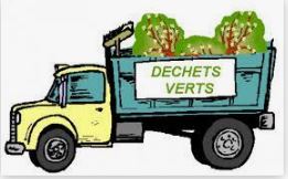 DECHETS VERTS